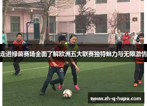走进绿茵赛场全面了解欧洲五大联赛独特魅力与无限激情