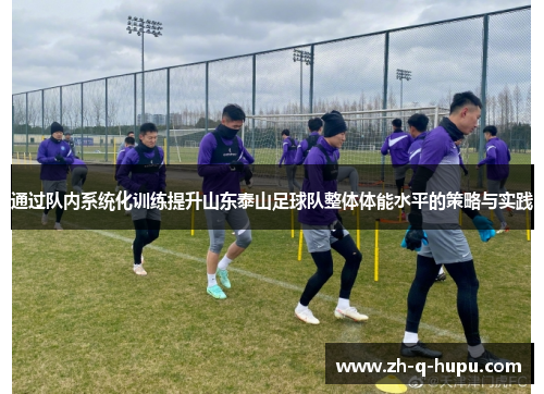 通过队内系统化训练提升山东泰山足球队整体体能水平的策略与实践